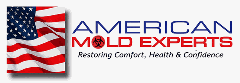 American Mold Experts