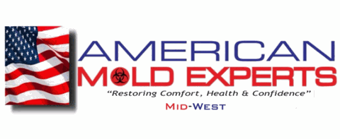 American Mold Experts