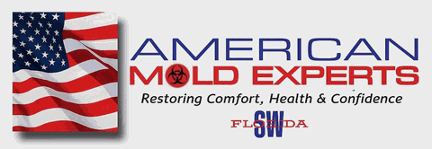 American Mold Experts