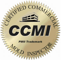 logo3