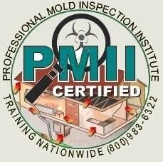 logo 6